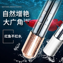 Fish tank lamp led lamp in bright water family case diving light water straw lamp waterproof dragon fish lighting tube brightening fish natural white light
