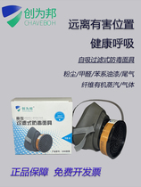 Chuangweibang gas mask mask anti-virus dust mask anti-gas mask special chemical mask for spray painting