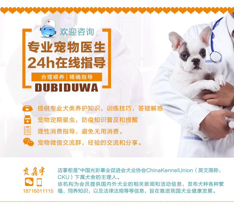 Pet Wei Zi dog puppies thực phẩm phổ dog giống chó thức ăn dog dog staple thực phẩm VIP hơn Xiong Teddy Schnauzer thuc an cho cho