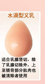 Coques pour soutien-gorge - Ref 812536 Image 8