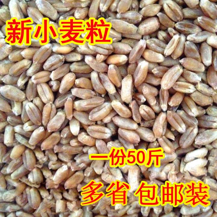 2022 Farmer wheat with chicken duck grain pigeon feed eats fishing bait bud sugar mill 50 kg