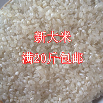Farm produce a Northern Jiangsu rice baby zhou mi five domains stem fragrant and play smooth waxy 20 pounds in Jiangsu Zhejiang and Anhui province