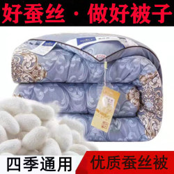 Winter Silk Quilt, Thickened Warm Quilt for Winter, Spring and Autumn, Single and Double Cotton Quilt Core, Summer Cooling Quilt