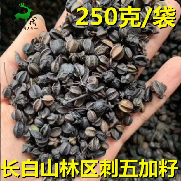 Eleuthero seeds half a pound Northeast Changbai Mountain Jilin Eleutheroccus parsonum fruit new granules 250g conditioning sleep