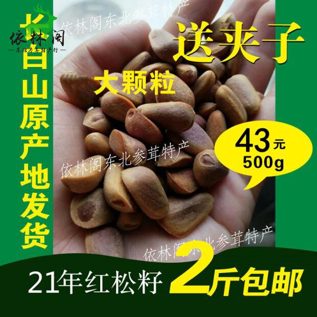 Wild red pine nuts Great grain Northeast Changbai Mountain terrosborn with pine seeds fresh 500g pregnant women
