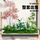 Artificial Plant Landscaping Combination for Indoor Landscapes, Balcony, Simulated Green Plants, Decoration under Stairs, Window Displays, Fake Flower Trees