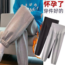 Pregnant womens pants autumn and winter outer wear casual sports pants womens fleece thickened small nine-point beam foot pants spring and autumn