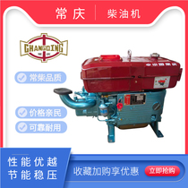 Single-cylinder diesel engine Changchai Changqing Diesel engine 1115 electric start horsepower Agricultural marine diesel engine
