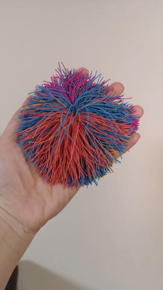 Four Northern Dance Examination Examination Dance Examination Examination Test three - level dance props grab bag