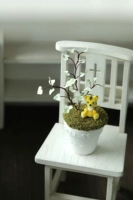 Зодиак модель