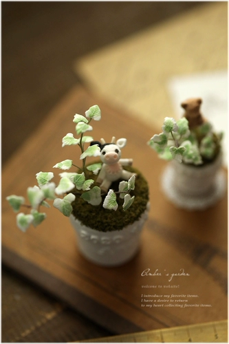 Микровисшивание мини -ивия эмить вечного цветочного моха нефритовое медведь тигр детские волосы