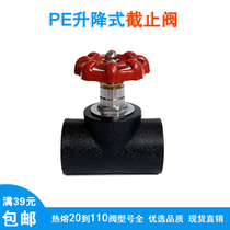 PE lift stop valve 4 points 6 points 1 inch tap water pipe switch valve copper valve core 20 25 32pe pipe fittings