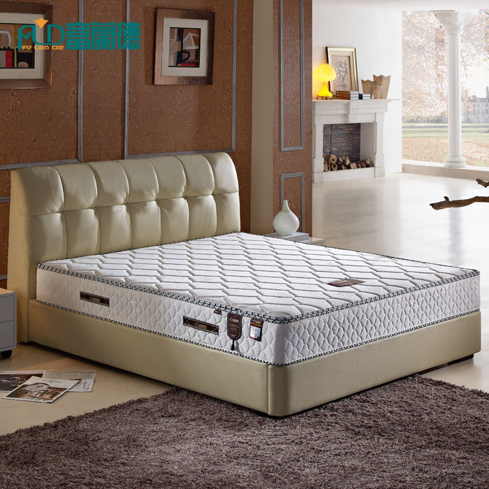 ������1.5��͸������FLE803