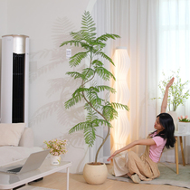 Simulated green plants jacaranda high-end light luxury fake green plants living room floor-standing ornaments large potted fake trees bionic plants