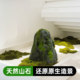 Stone simulation fiberglass material clothing store window decoration props floor-standing ornaments mountain stone garden landscaping