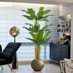 2025 Large Simulated Green Plant Big Leaf Banana Tree Decoration Indoor Balcony Landscaping High-End Plant Fake Tree Ornaments