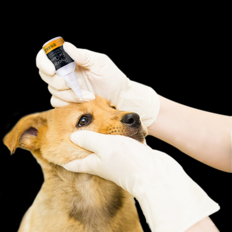 疯狂的小狗猫犬通用滴眼液去泪痕_网红优惠券