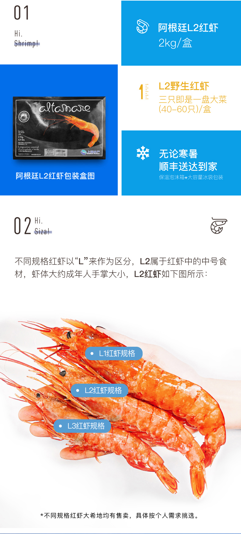 大希地 L2级 阿根廷红虾 净重4斤 16-18cm 图2