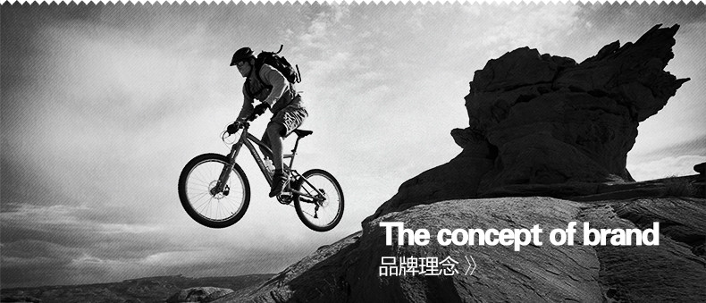 Porte-bagages pour vélo PHILLIPS - Ref 2413923 Image 28