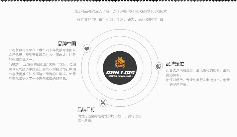 Porte-bagages pour vélo PHILLIPS - Ref 2413923 Image 29