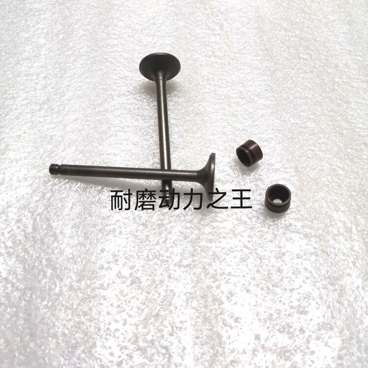 Suitable for Qianjiang urban wind scooter QJ150T-23 125T-31 -31 intake exhaust valve oil seal