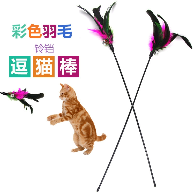 Mèo Đồ chơi Long Rod Feather Mèo Tương tác Feather Funny Cat Đồ chơi giáo dục đầy màu sắc Thổ Nhĩ Kỳ Feather Funny Cat Stick Funny Cat Rod - Mèo / Chó Đồ chơi
