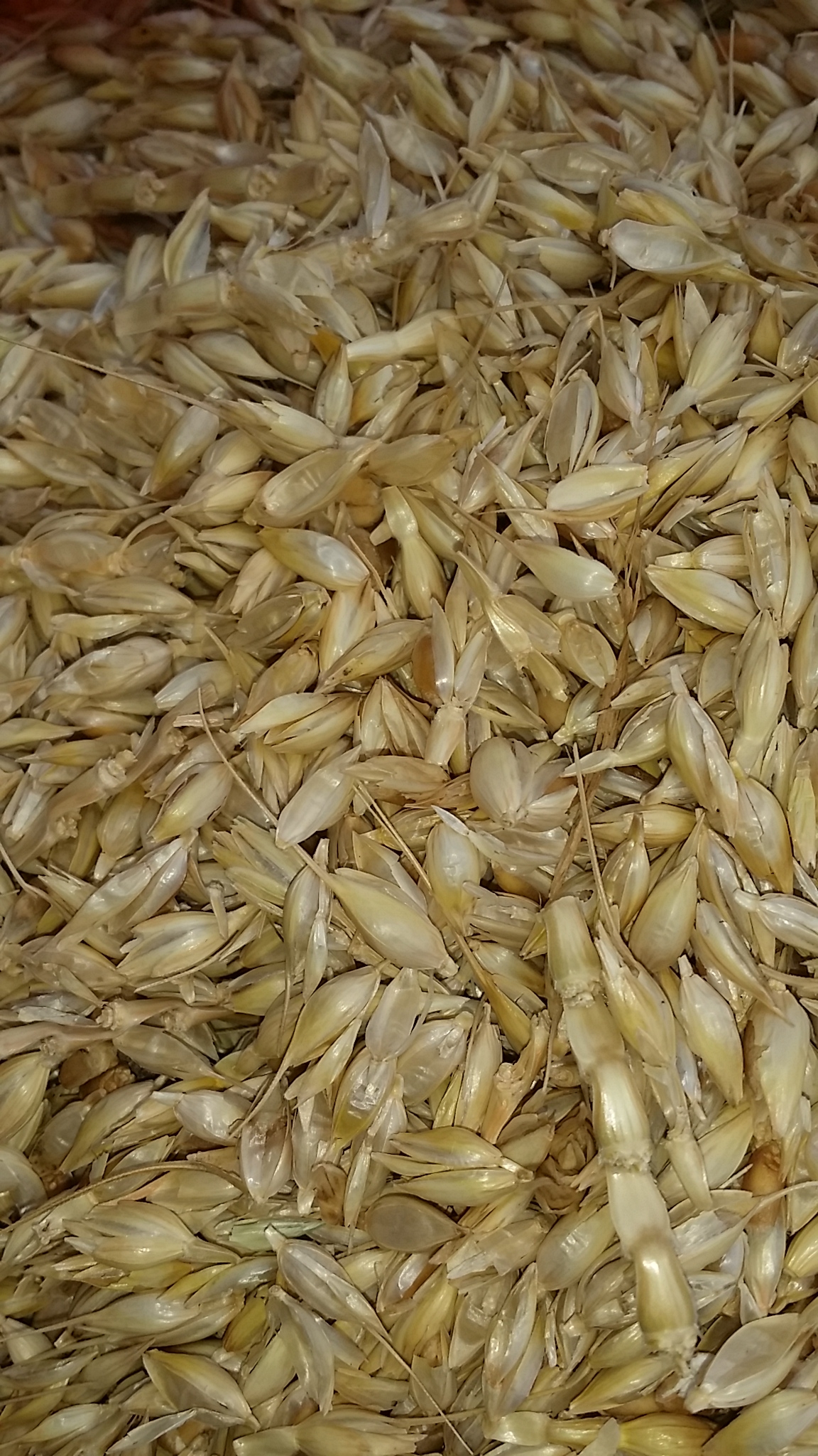 250 g of floating wheat granules with wheat shell
