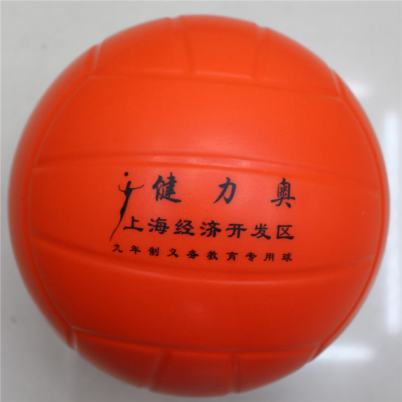 Ballon de volley - Ref 2009859 Image 6