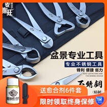 Bonsai making special tool set ball scissors spherical scissors oblique cut Rod scissors bonsai shape