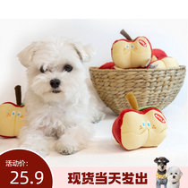 (laughs and laughs) The Korean version of the Korean version is more than a bear Snow Narey cute little apple Pets a vocal and sniffing toy