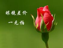 Glasses are specially made up for the difference in price difference. For example if the difference is 5 yuan the quantity is 5.