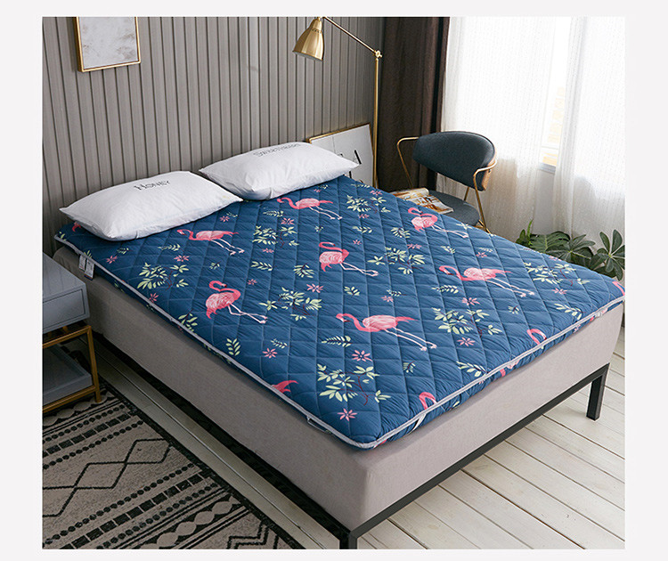 Nệm đệm giường bọ cạp 1,8 m 1,5m đơn đệm đôi sinh viên ký túc xá bọt biển - Nệm giá đệm everon