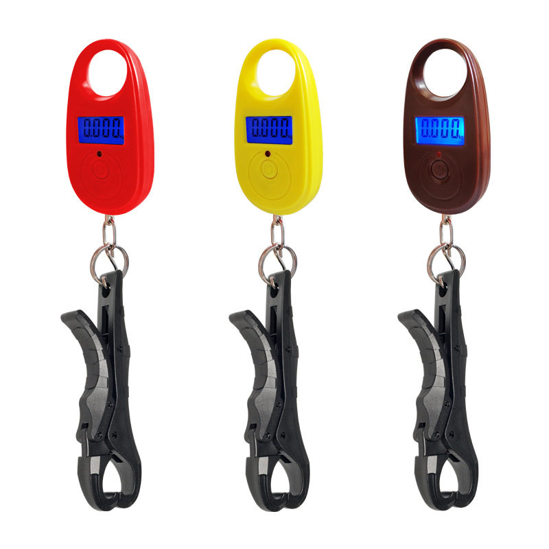 路亚控鱼器带秤真的实用吗?2026年钓鱼人怎么选更高效?