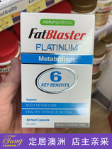 Australian Fatblaster small waist 6X hip waist 30