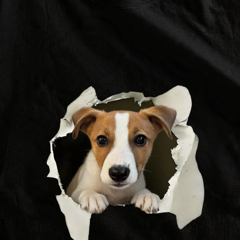 Ripped Jack Russell Summer Trendy T-Shirt Printed Cotton Short Sleeve Fun Niche Design Top for Men and Women