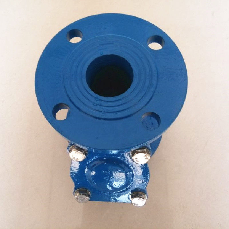 Y-type filter premium ductile iron large flange connection DN50-300mm Engineering installed over water valve