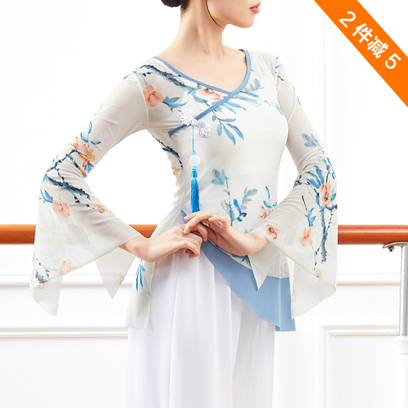 Chinese national dance net dress classical dance horn sleeve cross practice to students floating print dance dress