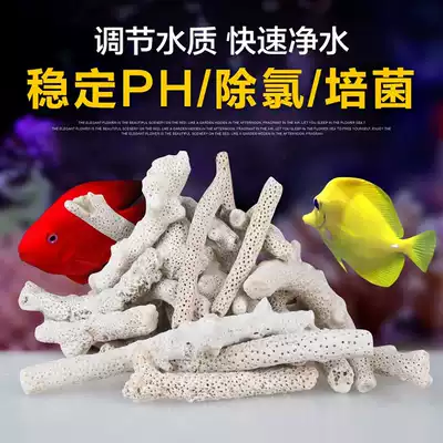 High quality coral stone coral sand Aquarium fish tank fish pond filter seafood pool aquarium filter material Coral sand