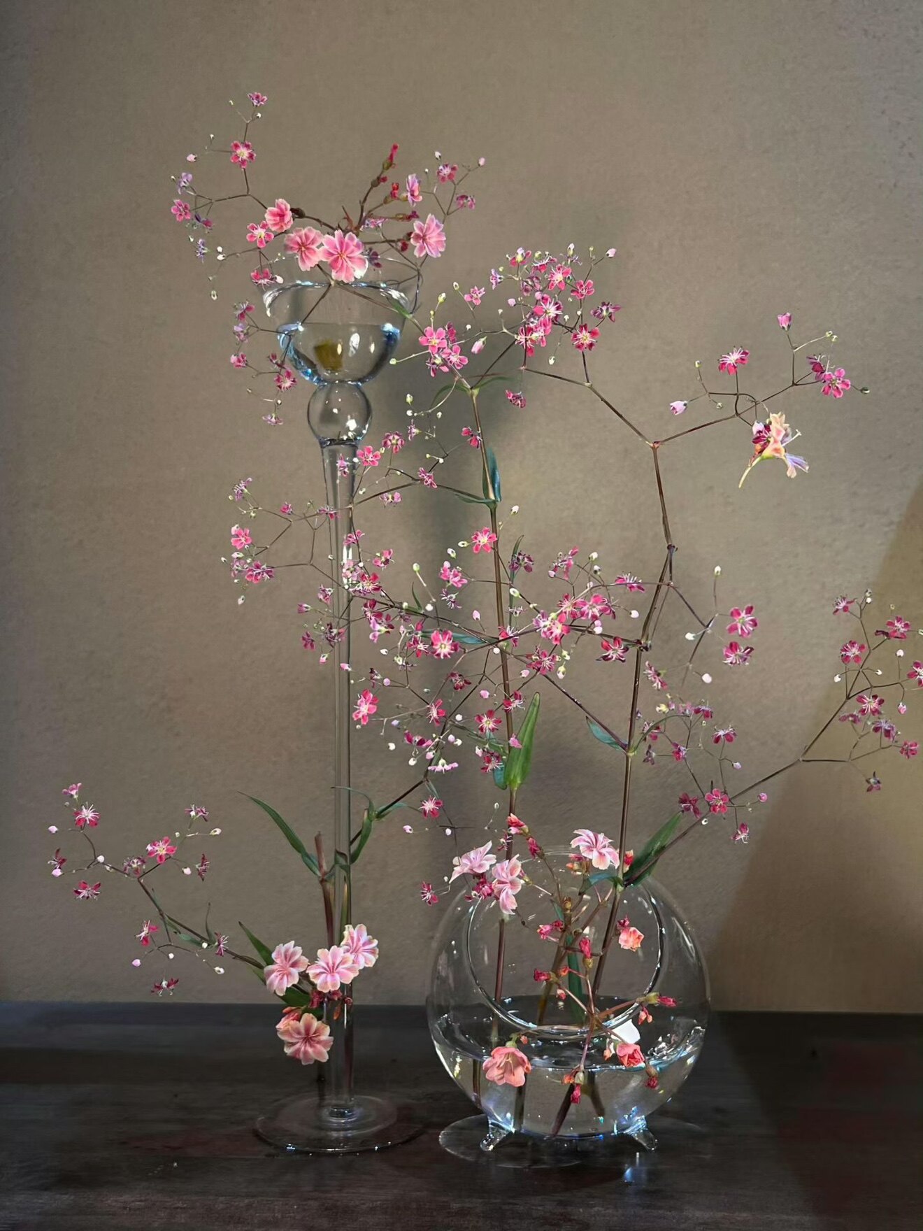 呗贝乐童鞋