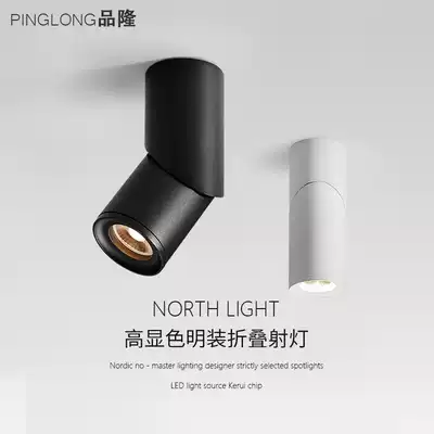 Pinlong Ming installed spotlights Nordic designer's lights living room entrance aisle ceiling cob high-end folding Downlight