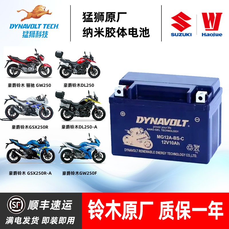 Suitable for Suzuki Gw250F/ Dl250 Gsx250R Dr300 Tr300 Dl650 Hayabusa Battery 12V