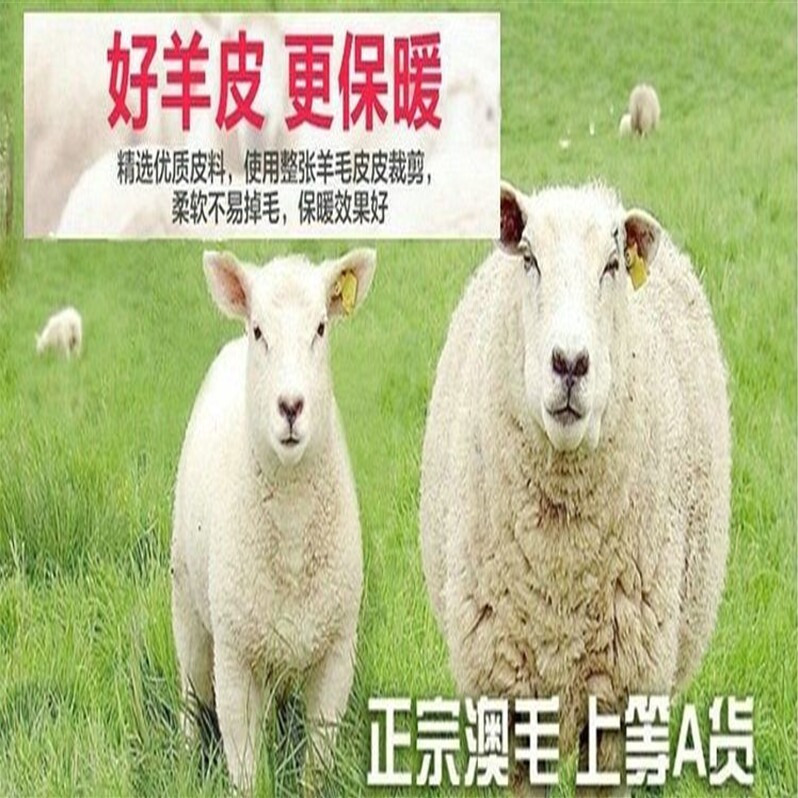 真鑫皮草服饰的LOGO