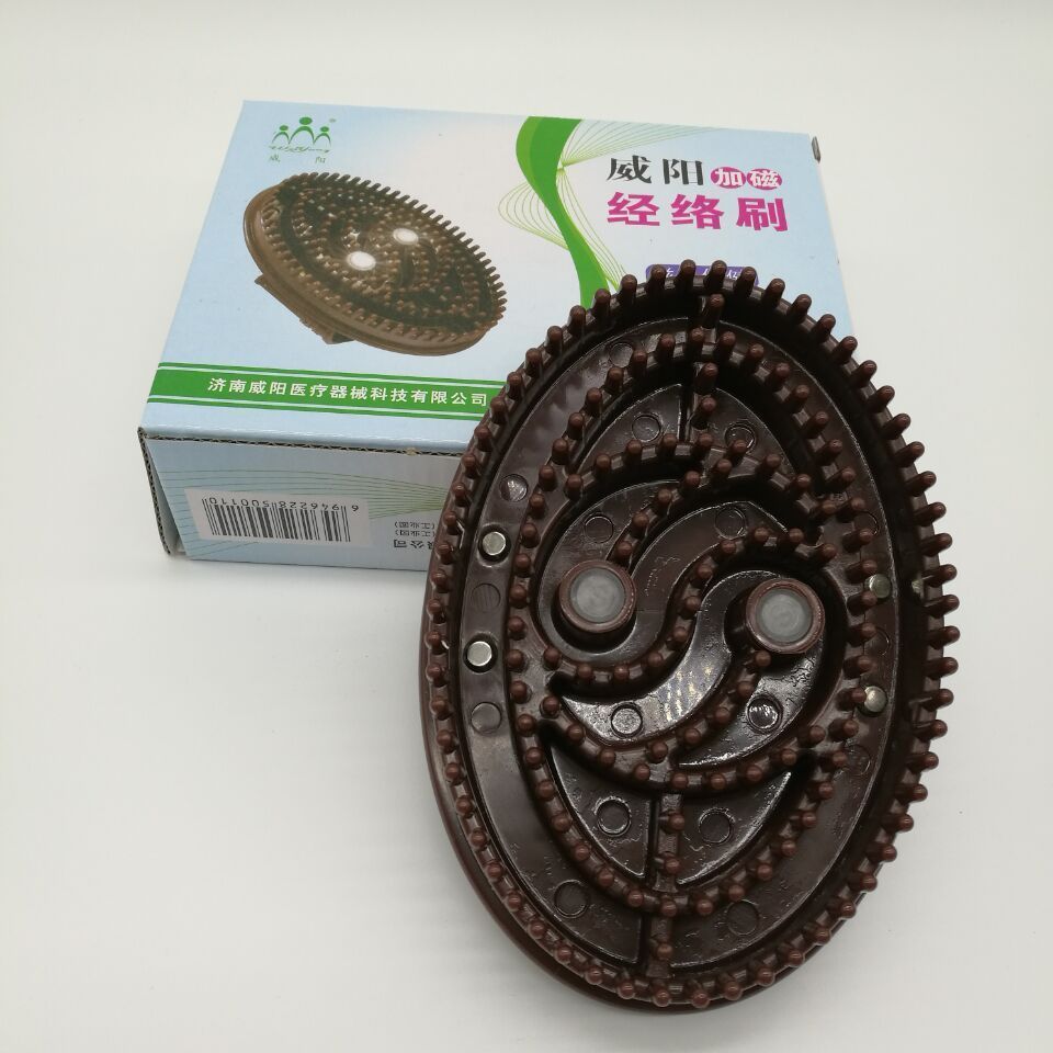 Magnetic therapy Magic Capricorn with five lines Meridians Brush and Brush Massage Brushed Brush