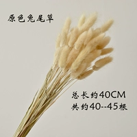 Основной цвет хвост кролика 40-45 корней