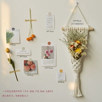 Персиковая сетка Attis Pack Pocket Dry Dry Flower Комбинация