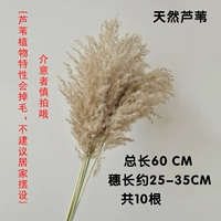 Натуральный тростник 10