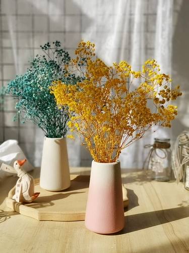 Нордический стиль простая керамическая стеклянная ваза Прозрачная бутылка декоративная гидропонная цветочная композиция гостиная спальня настольная табличка