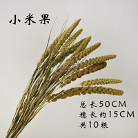 10 фрукт Xiaomi 10