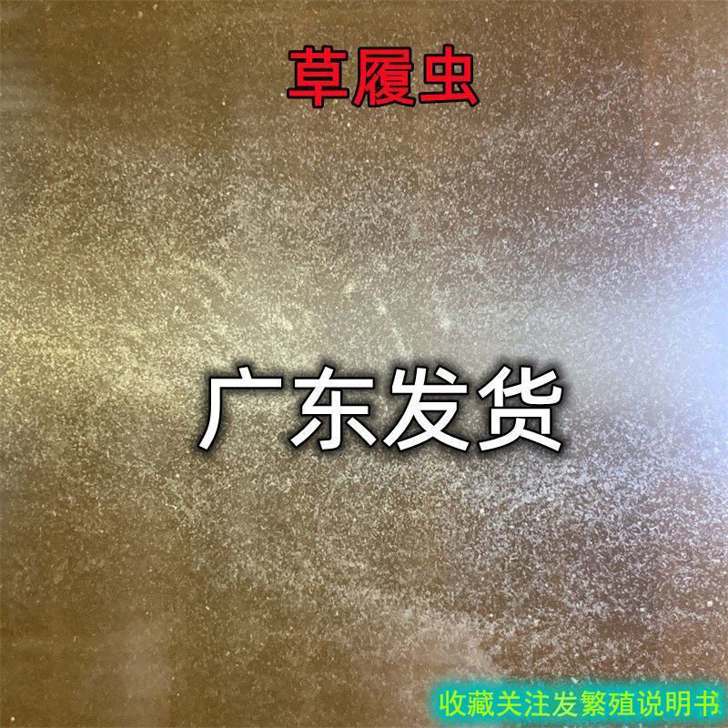 精品店一中国虎门店的LOGO