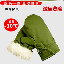 Zero-40-degree anti-chill gloves mens winter furry fur integrated super-thick and warm northeast cotton hand stuffy suede